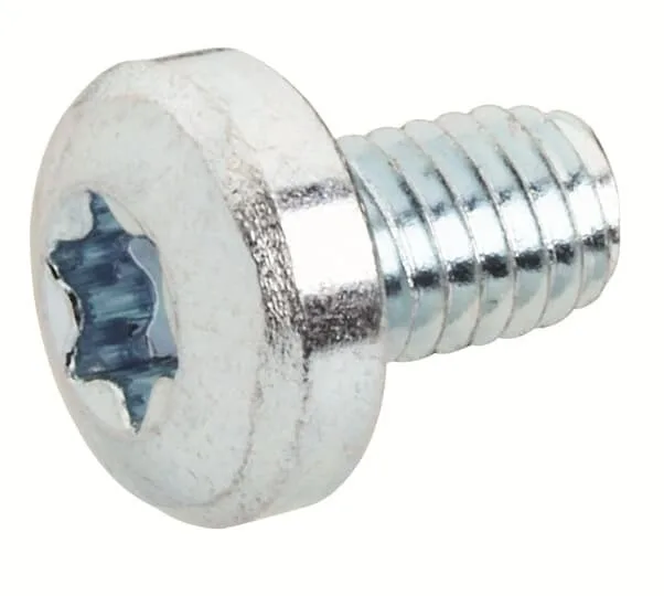 RZ12P20 Винт М6х10 (Torx 30) (уп.-20шт)