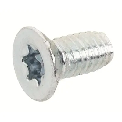 RZ13P20 Винт М6х12 (Torx 30) (уп.-20шт)
