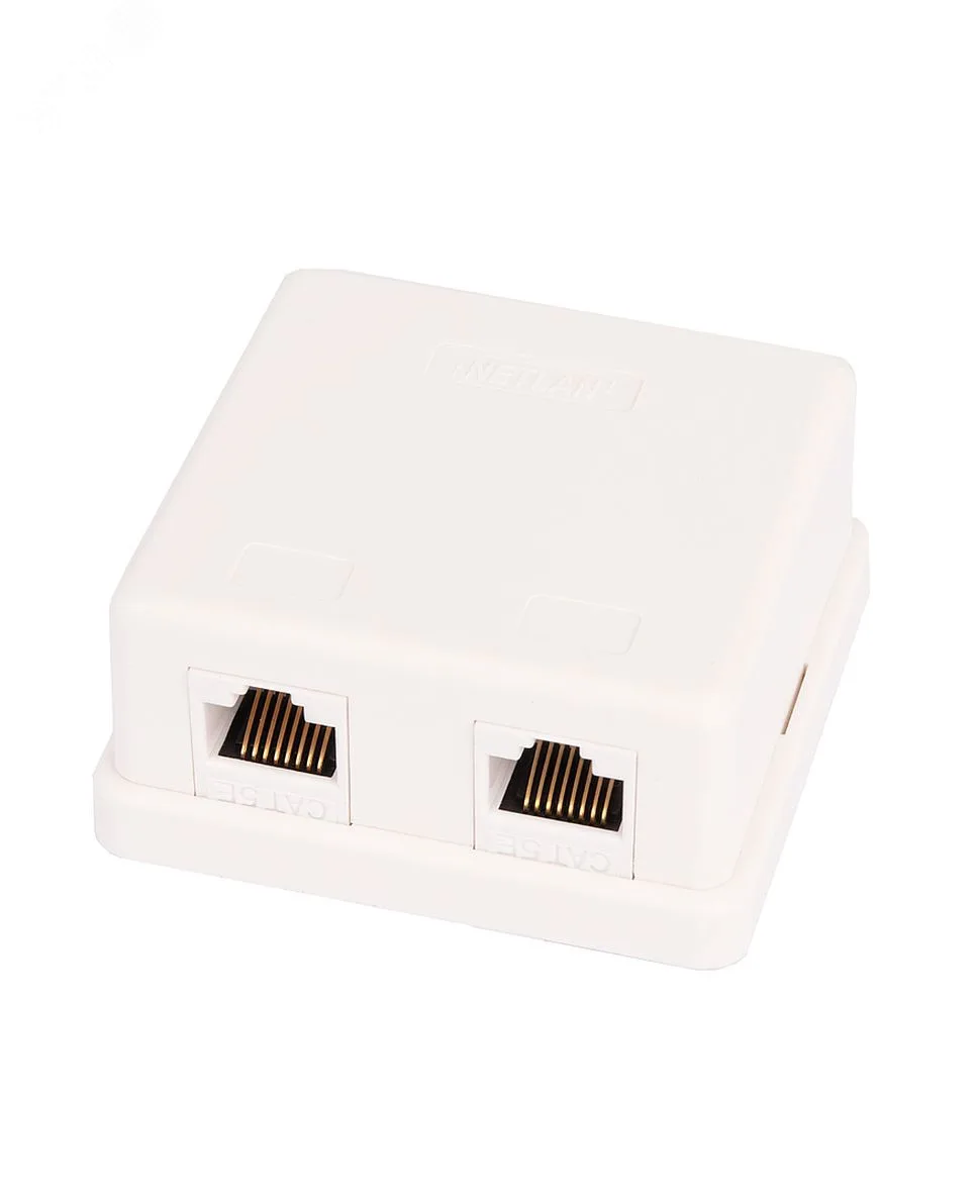 NETLAN Розетка настенная 2 порта Кат.5e RJ45/8P8C неэкранированная белая